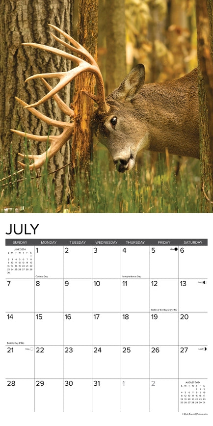 2024 Monster Bucks Calendar