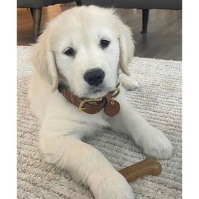 Nylabone - Puppy Chew Peanut Butter 2 pack