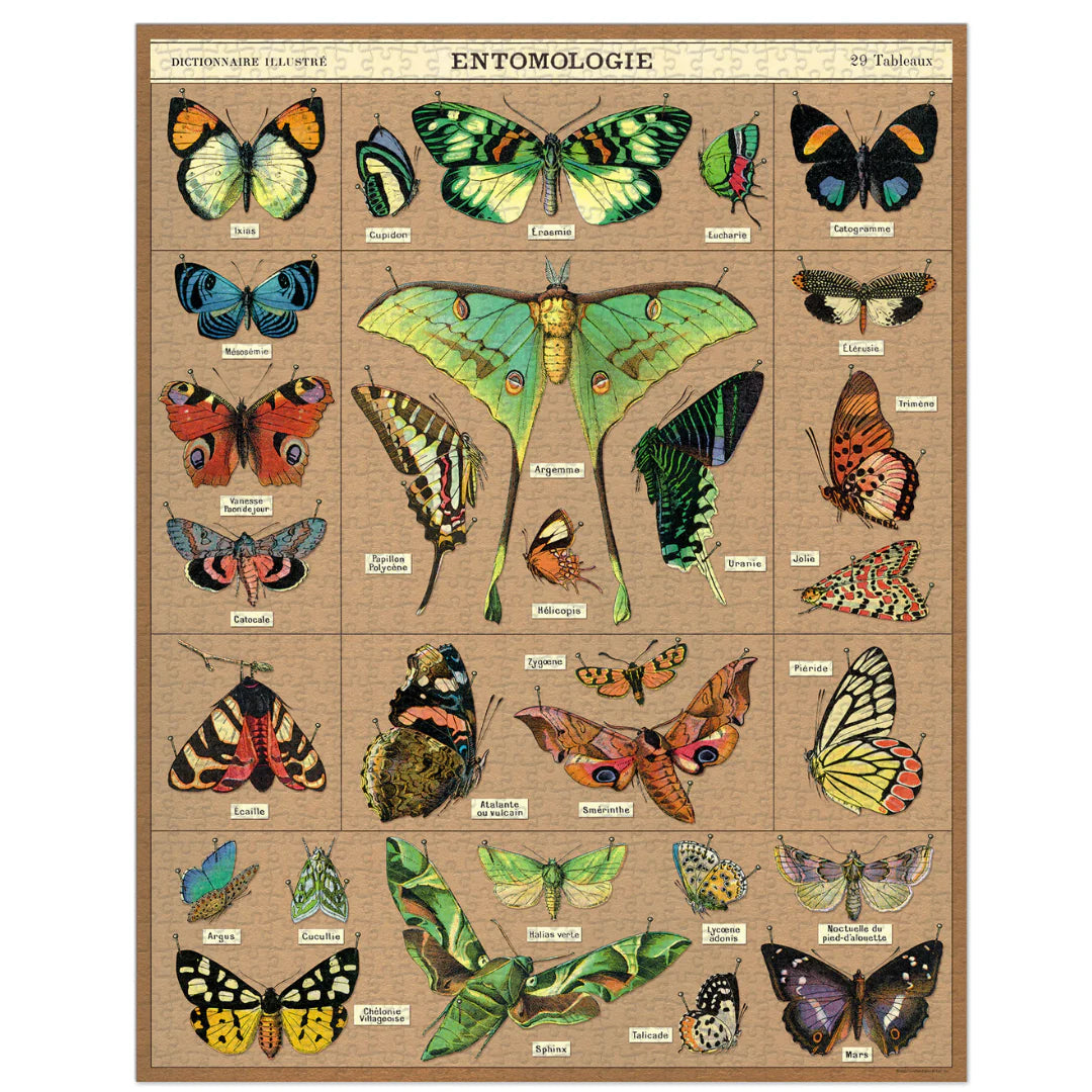 Cavallini & Co. - Puzzle Entomology