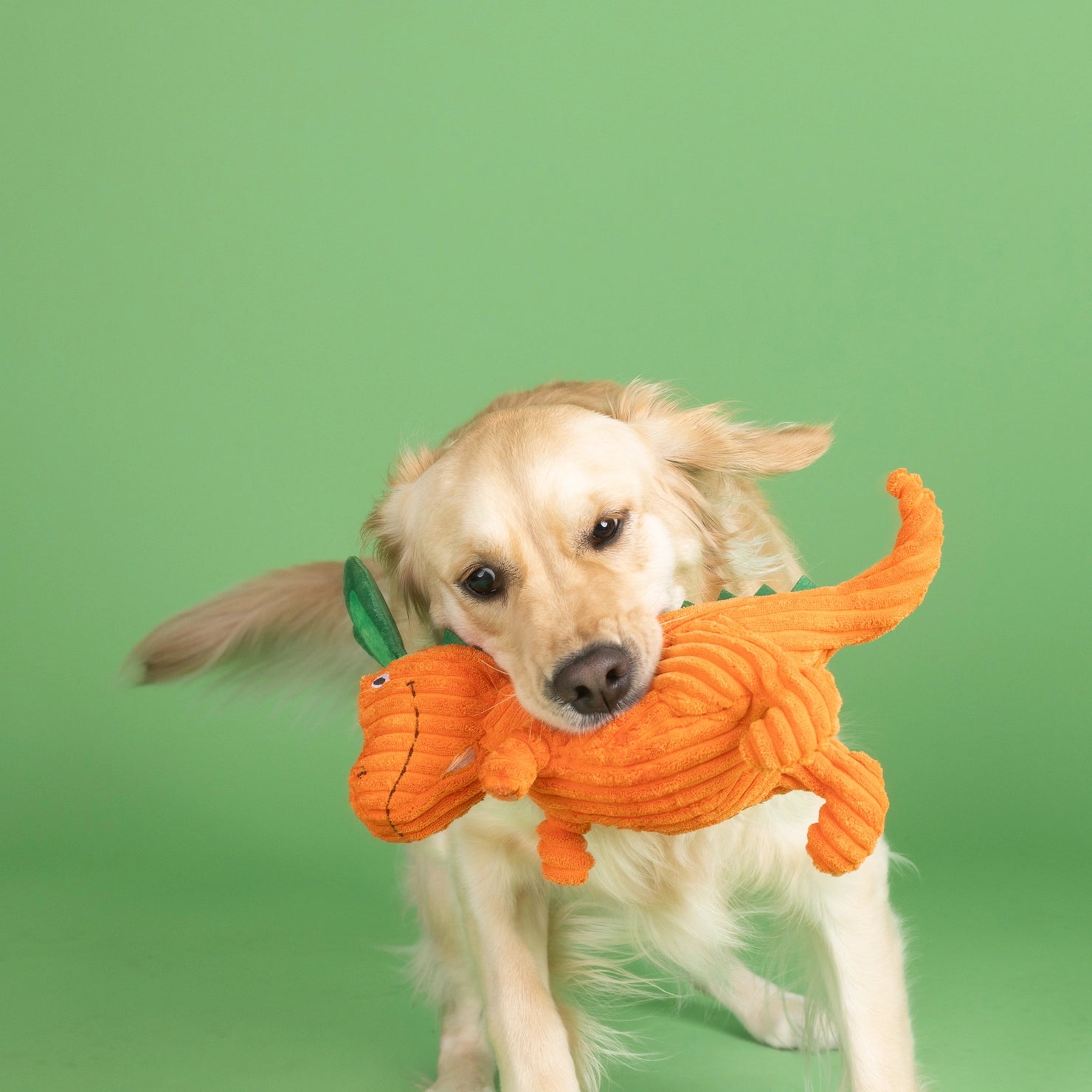Petshop by Fringe Studio - Dog Toy Carrot Bout You