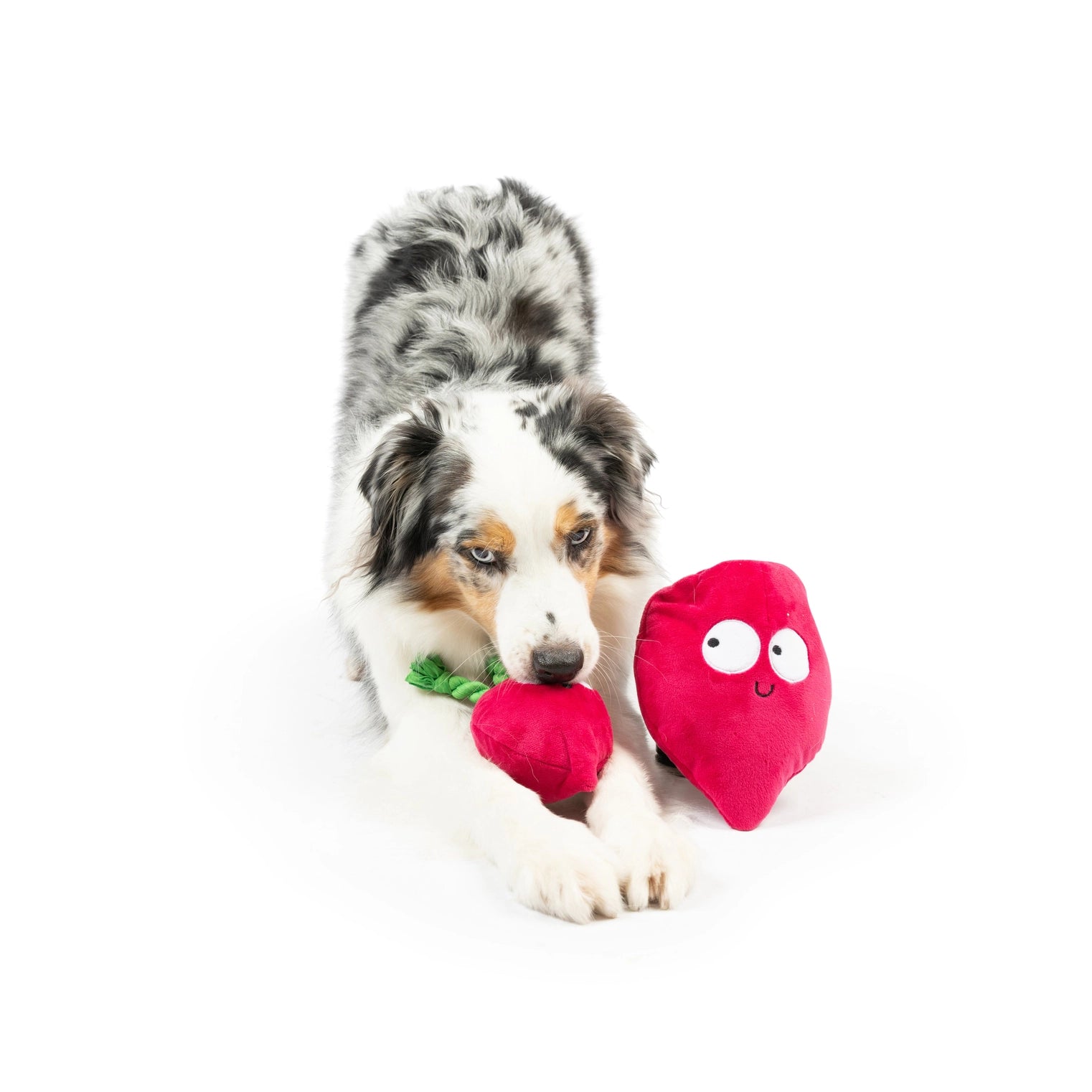 Huxley & Kent - Dog Toy Pop'n Fetch Beet