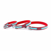 Bark Brite - Collar Bamboo & Neoprene With Light Up Buckle