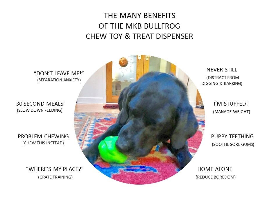 Bull Frog Treat Dispenser & Dog Chew Toy