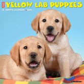 2024 Lab Yellow Puppies Calendar