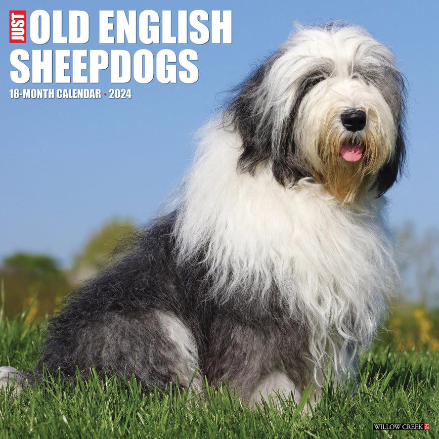 2024 Old English Sheepdogs Calendar