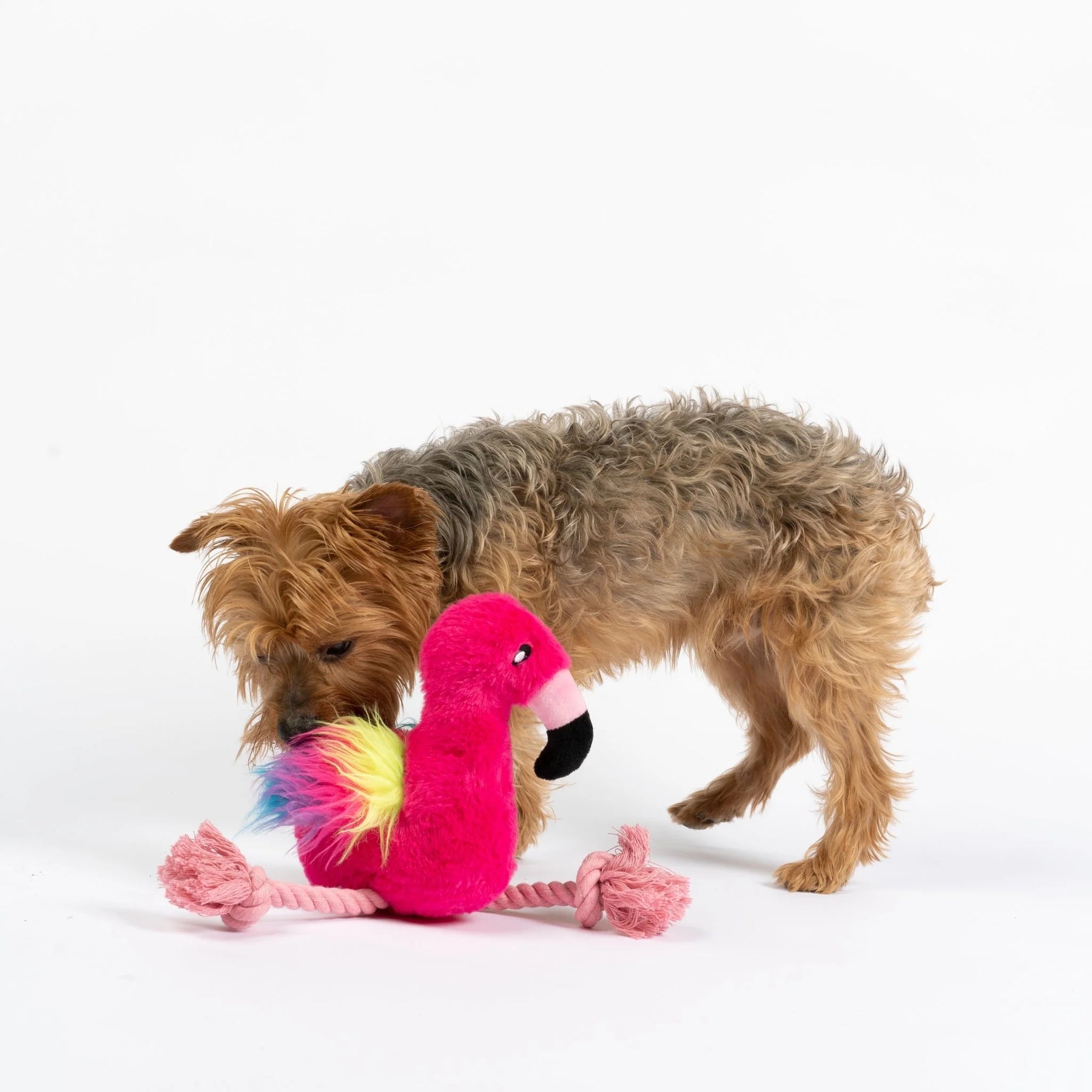 Silver Paw - Flamingo Dog Toy