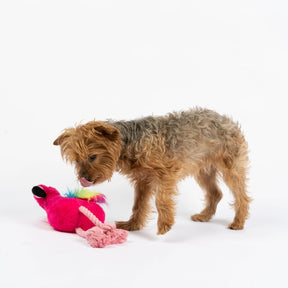 Silver Paw - Flamingo Dog Toy
