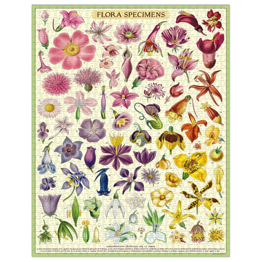 Cavallini & Co. - Puzzle Flora Specimens