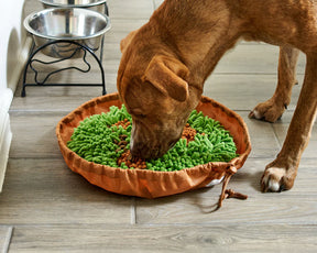 Forager Bowl Meadow 9"