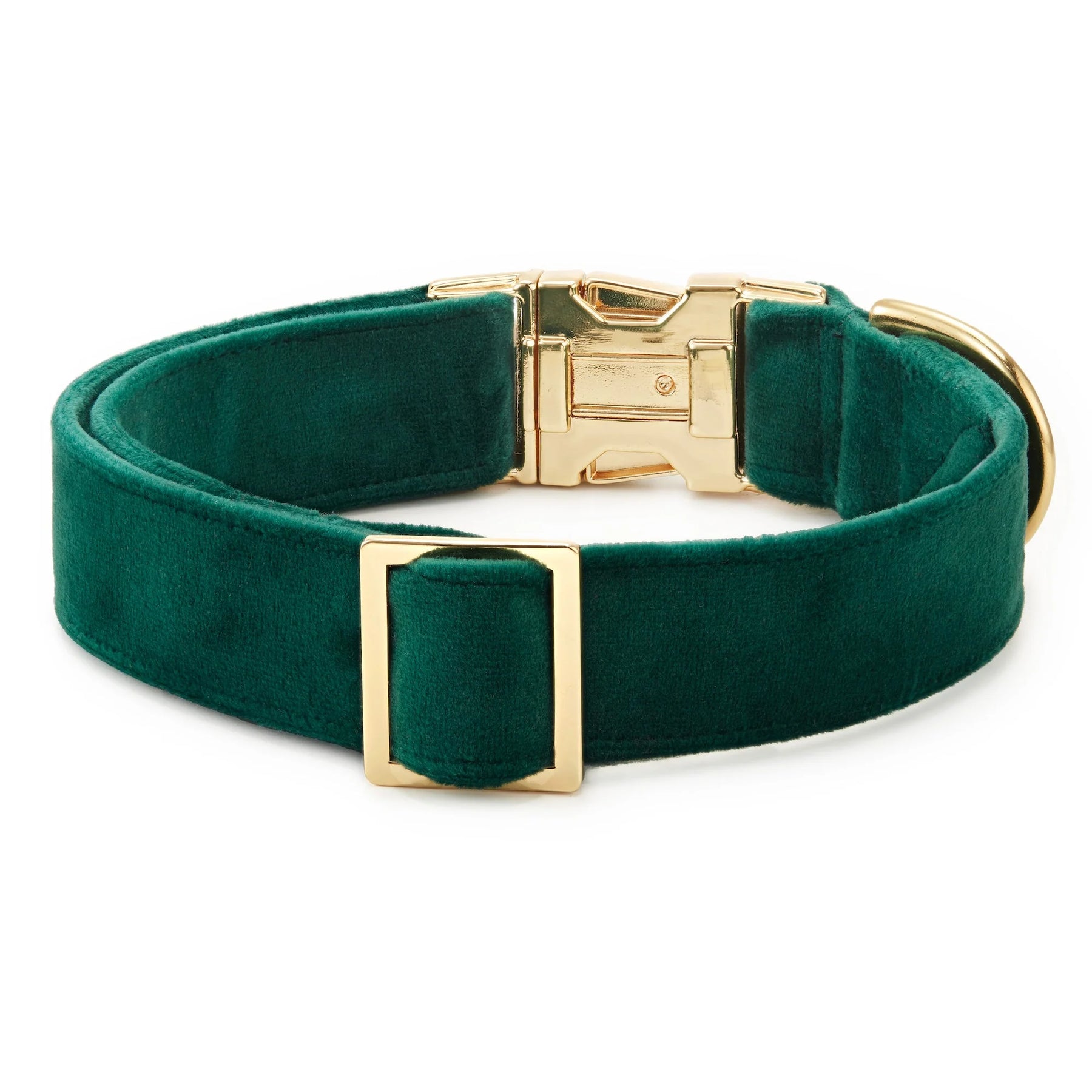 The Foggy Dog - Dog Collar Forest Green Velvet