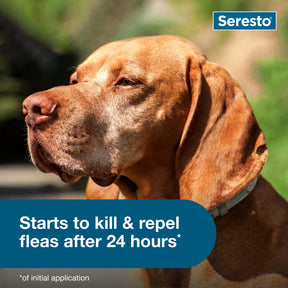 Elanco - Seresto Collar