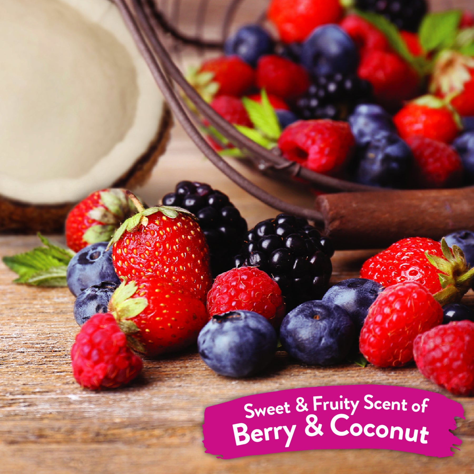 TropiClean - Deep Cleaning Pet Wipes Berry & Coconut