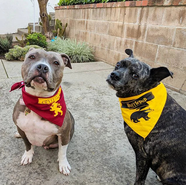 FunDog Bandanas - Dog Bandana Hufflepup