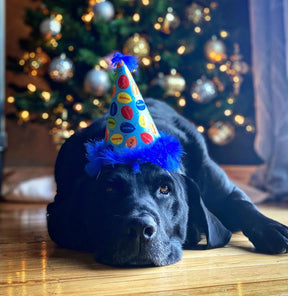 Huxley & Kent - Hat Party Time W/ Snug Fit