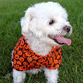 Doggie Design - Hawaiian Camp Shirt Halloween Jack-O-Lantern