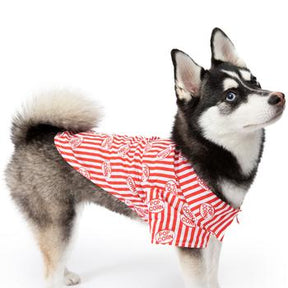 Doggie Design - Hawaiian Camp Shirt Movie Theater