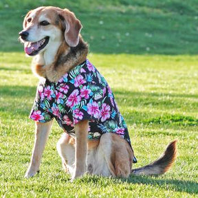 Doggie Design - Hawaiian Camp Shirt Paradise Nights