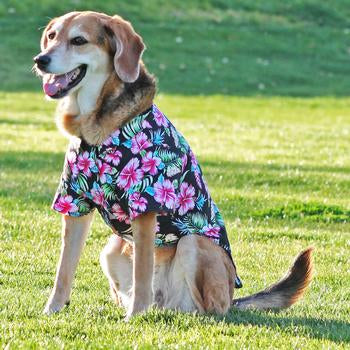 Doggie Design - Hawaiian Camp Shirt Paradise Nights