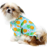 Doggie Design - Hawaiian Camp Shirt Pineapple Luau