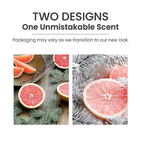 Yankee Candle - Wax Melt White Spruce & Grapefruit