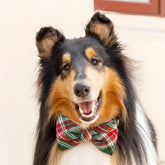The Foggy Dog - Dog Bow Tie Holly Jolly