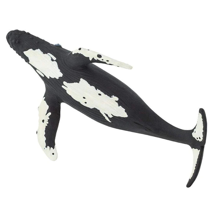 Whale Humpback Toy