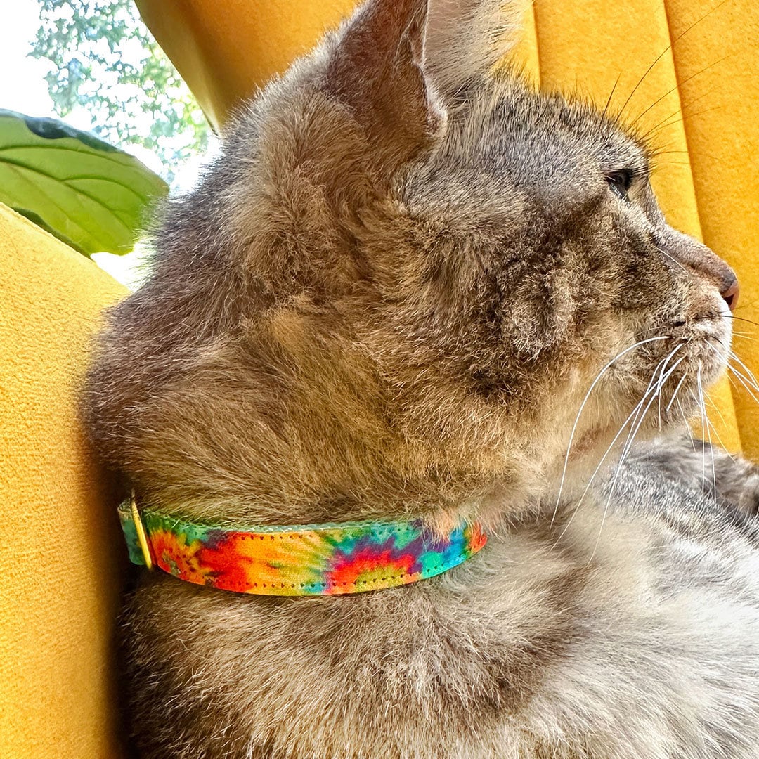 Made by Cleo - Cat Collar "Woodstock" Breakaway with Gold
