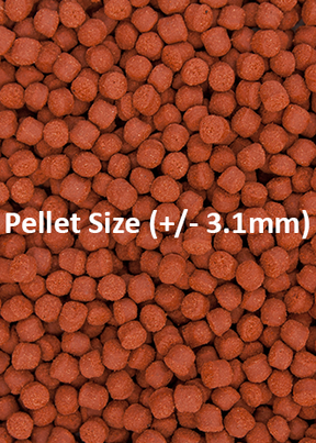 Ocean Nutrition - Formula One Marine Pellets