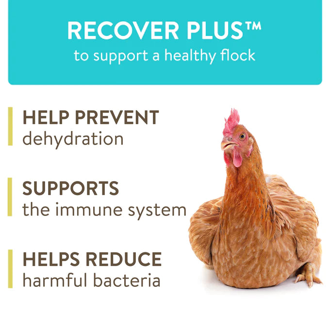 Perdue Recovery Plus for Chickens Makes 45 Gallons