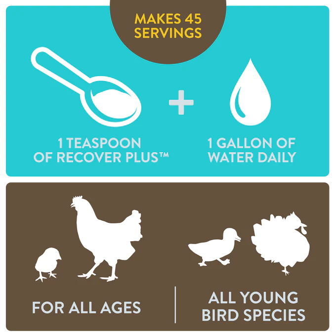 Perdue Recovery Plus for Chickens Makes 45 Gallons