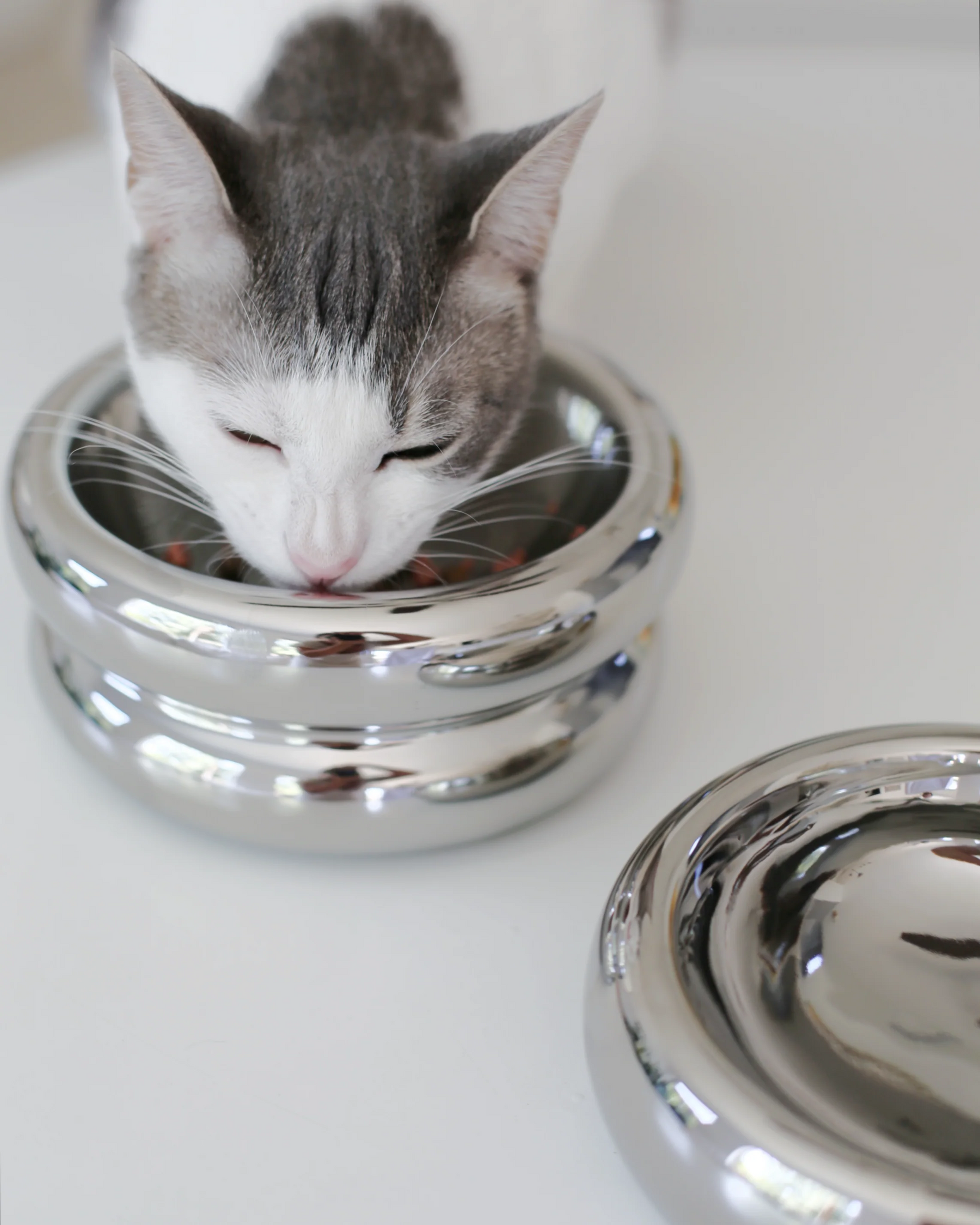 Catenary Home - Elevated Halo Pet Bowl Chrome