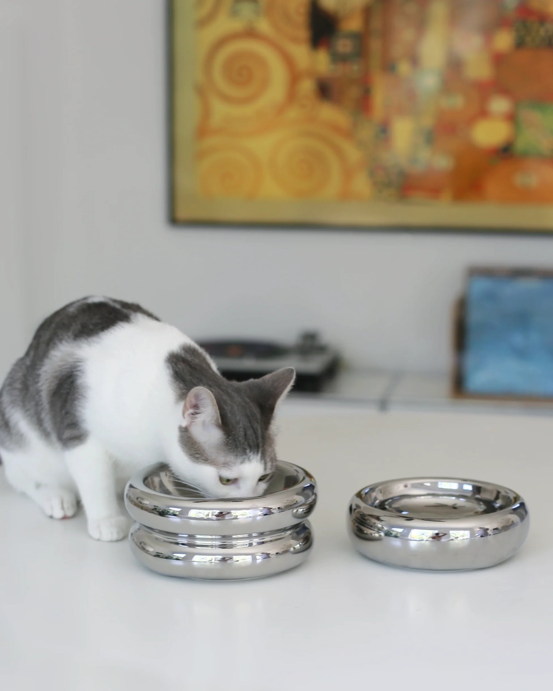 Catenary Home - Elevated Halo Pet Bowl Chrome