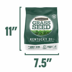 Grass Seed Kentucky 31 Tall Fescue