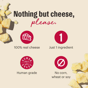 The Honest Kitchen - Crunchy Cheese Bites Gouda