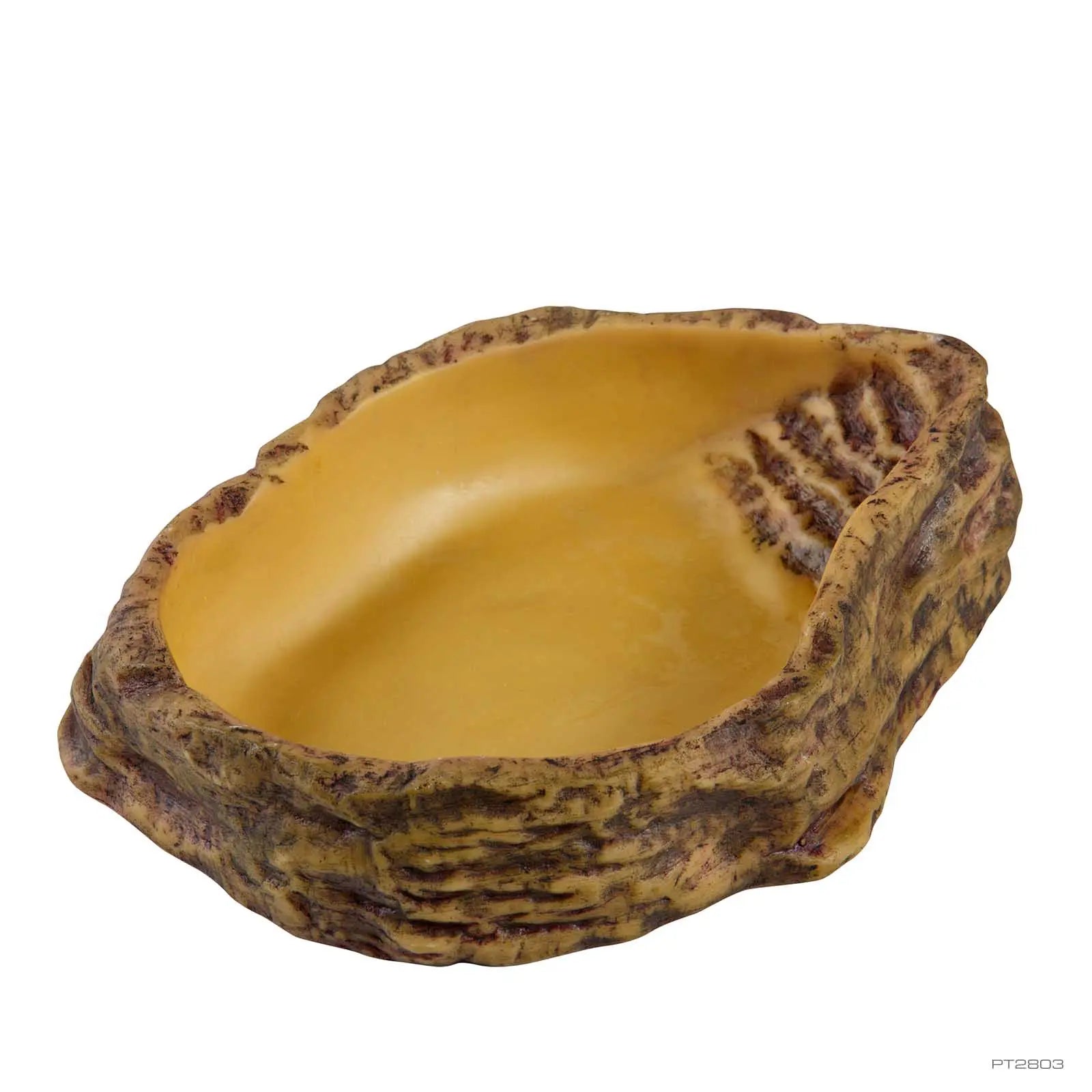 Water Dish Rock Natural