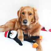 ZippyPaws - Holiday Crinkle Penguin DogToy