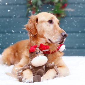 ZippyPaws - Holiday Crinkle Reindeer Dog Toy Large