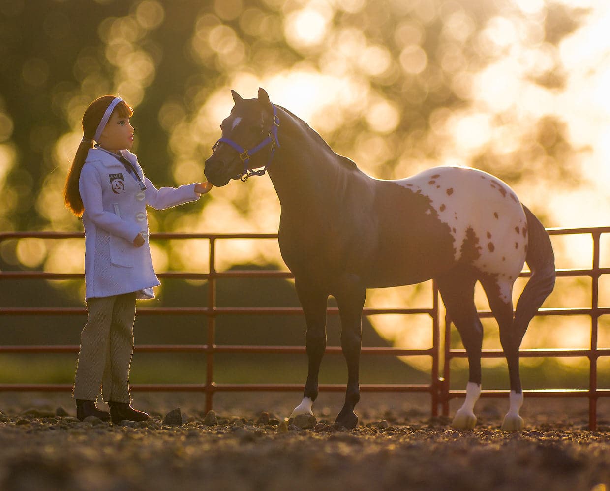 Breyer - Laura Girl Veterinarian Doll