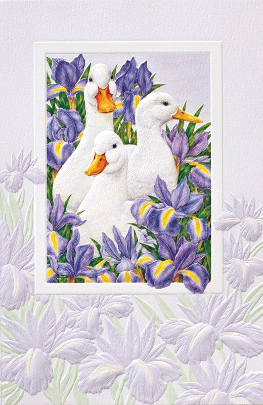 Card Garden Ducks