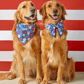 The Foggy Dog - Bandana Liberty Garden