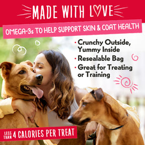 Central Pet Houston - Charlee Bear Nuggets Straw-Beary Swirl Treats For Dogs