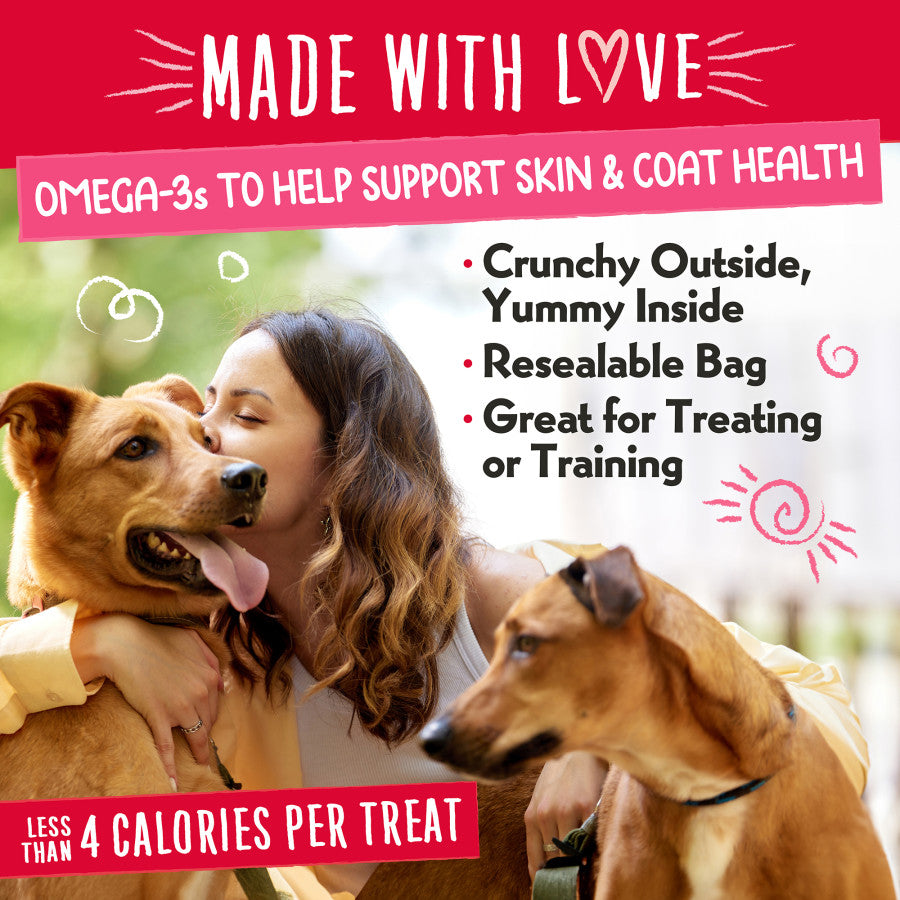 Central Pet Houston - Charlee Bear Nuggets Straw-Beary Swirl Treats For Dogs