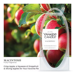 Yankee Candle - Wax Melt Macintosh