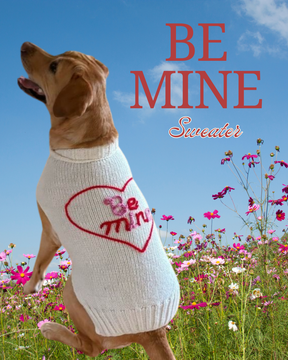 Chilly Dog - Dog Sweater Be Mine