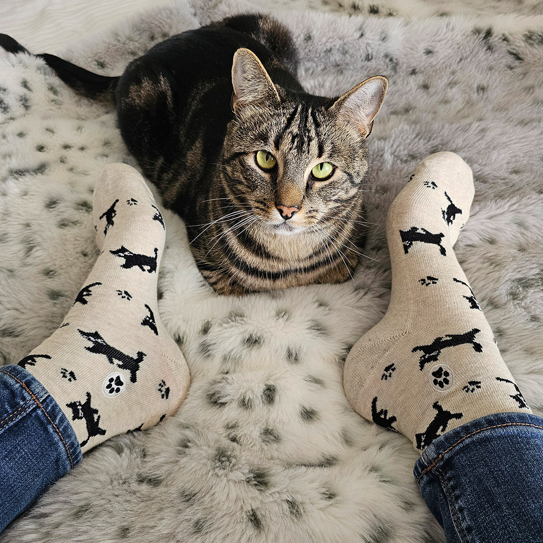 Conscious Step - Socks that Save Cats (Beige Cats)