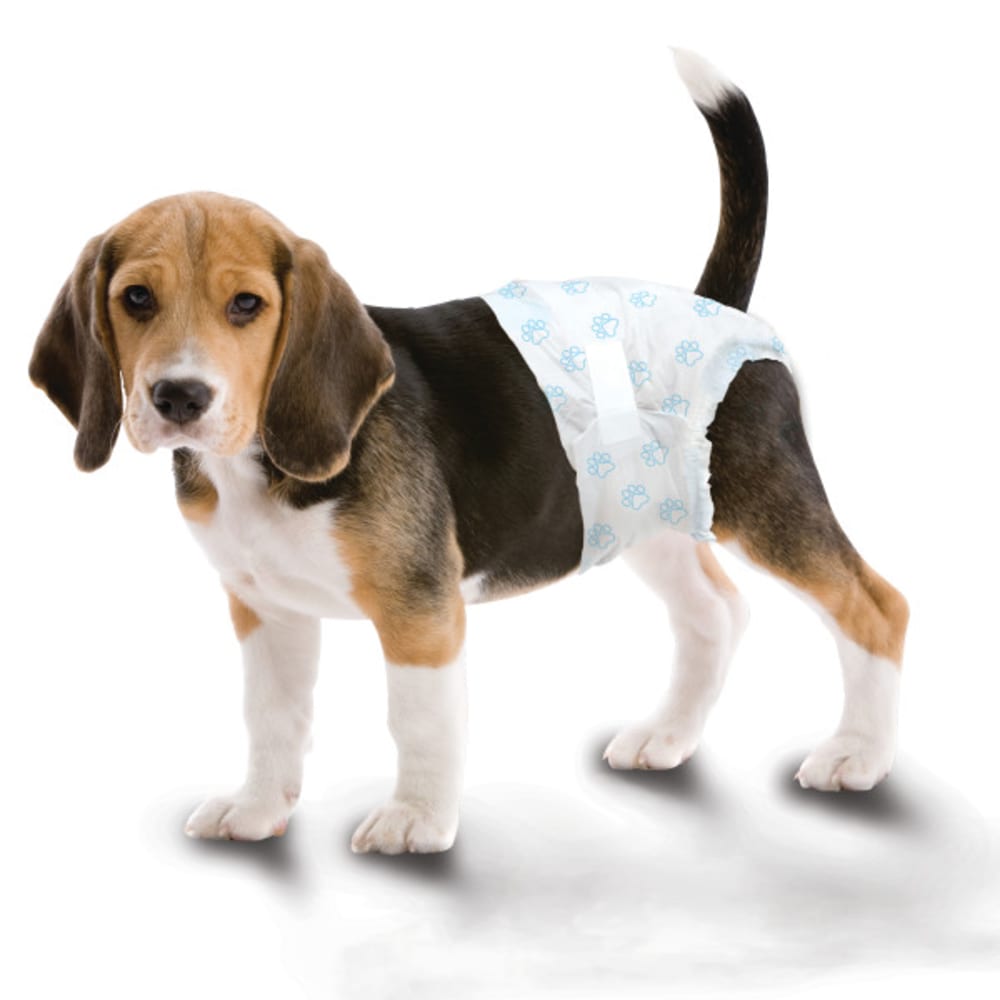 Four Paws - Wee-Wee Disposable Dog Diapers