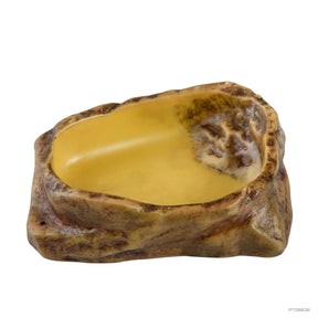 Water Dish Rock Natural