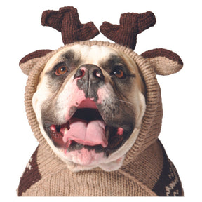 Chilly Dog -  Dog Hoodie Moosey