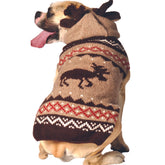 Chilly Dog -  Dog Hoodie Moosey
