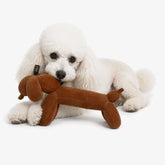 Nandog Pet Gear - My BFF Brown Twister